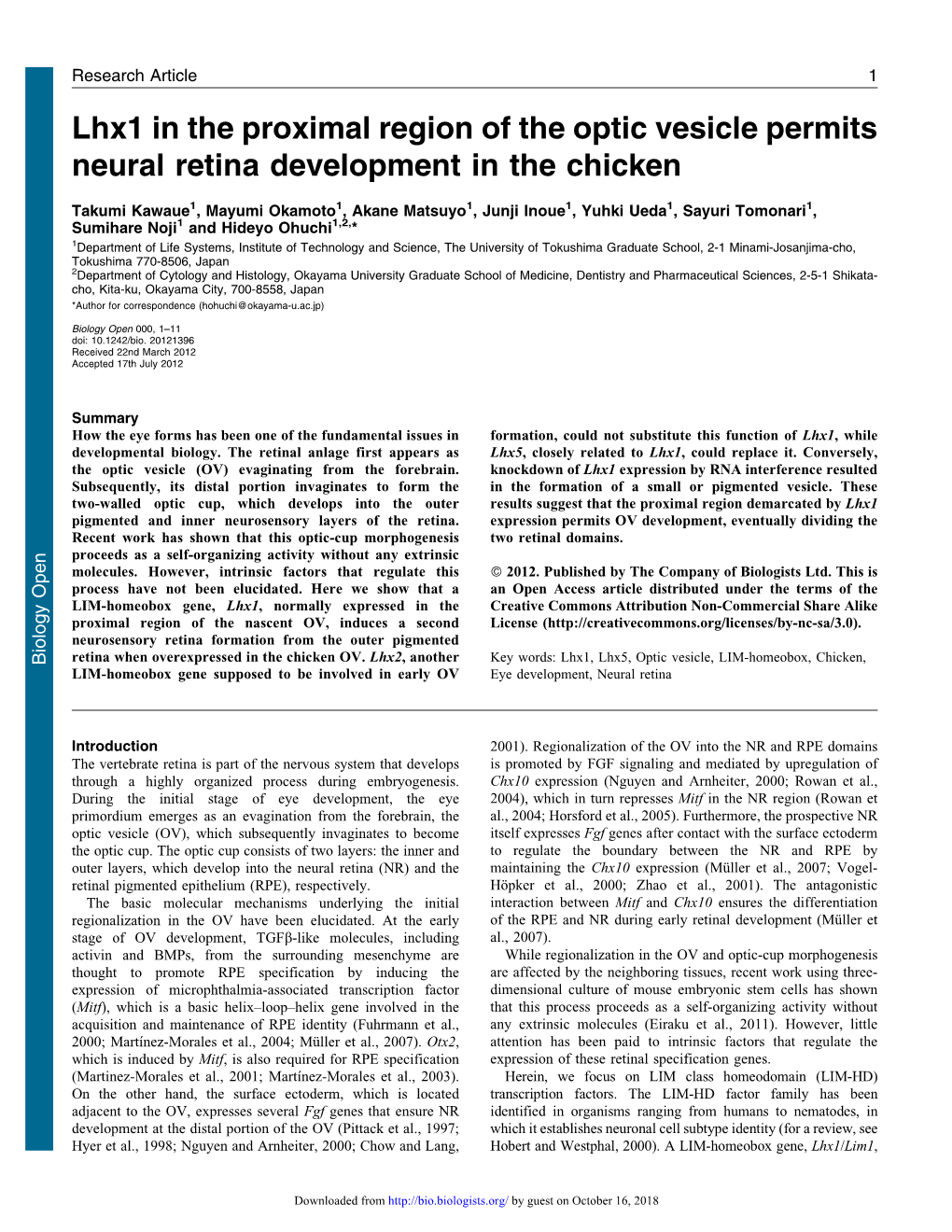 Lhx1 in the Proximal Region of the Optic Vesicle Permits Neural Retina Development in the Chicken