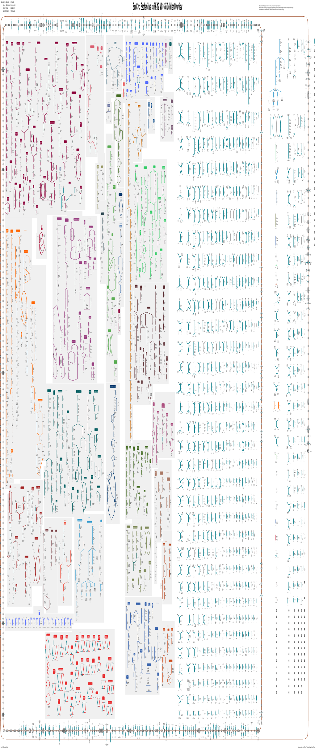 Generated by SRI International Pathway Tools Version 24.0 on Thu