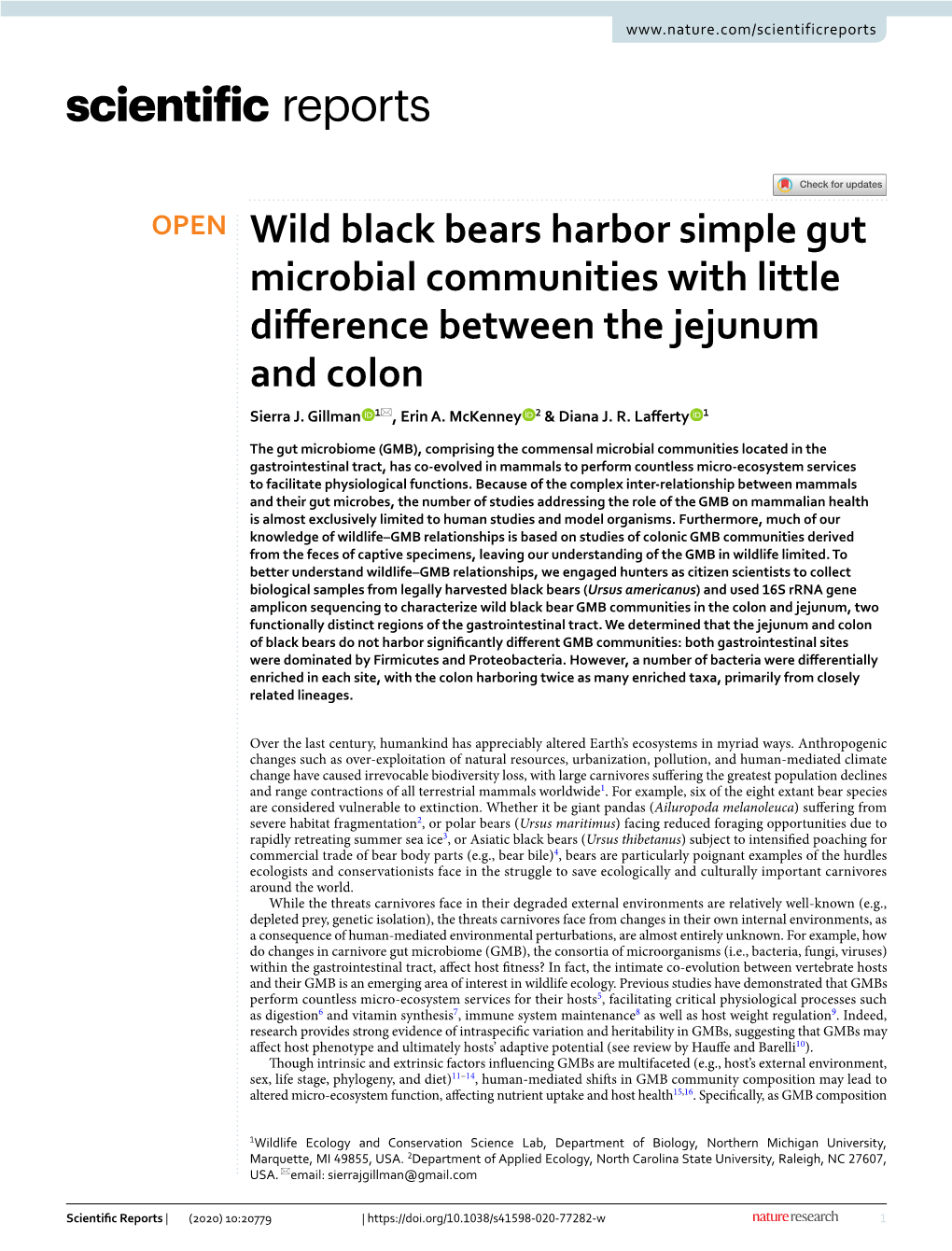 Wild Black Bears Harbor Simple Gut Microbial Communities with Little Diference Between the Jejunum and Colon Sierra J