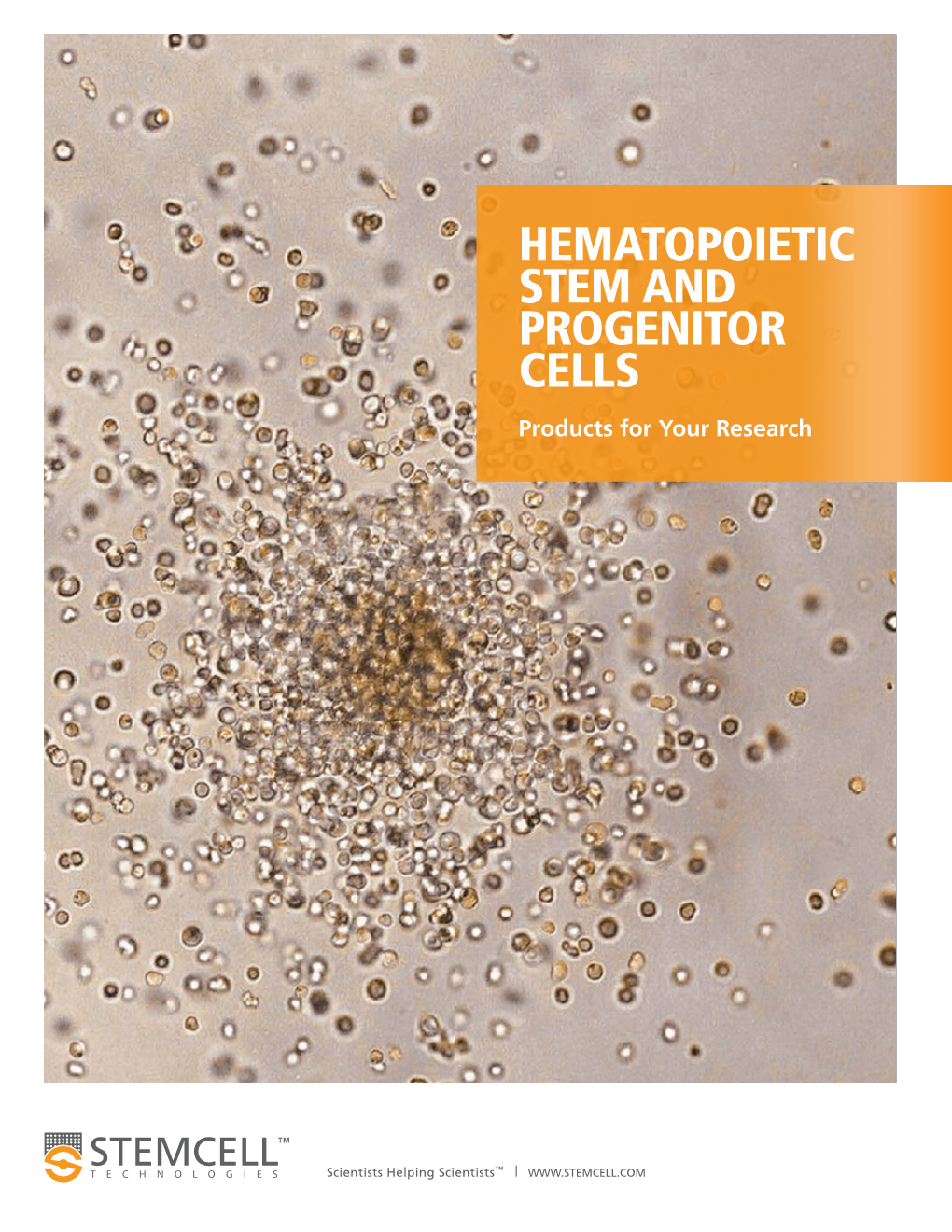 BR29054-Hematopoeitic Stem and Progenitor Cells