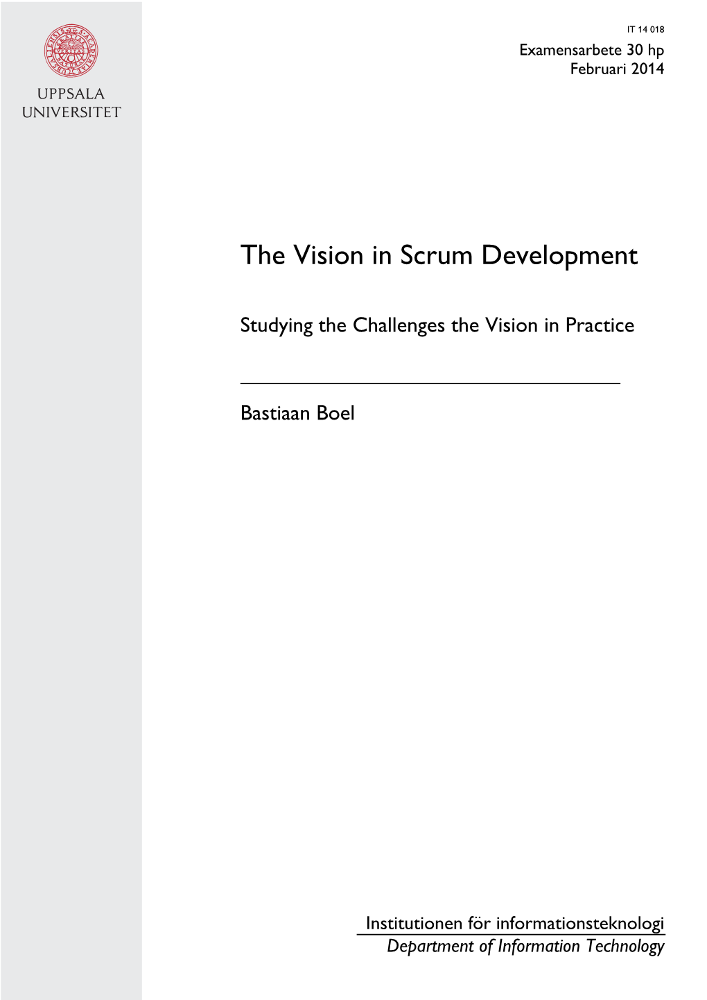 The Vision in Scrum Development