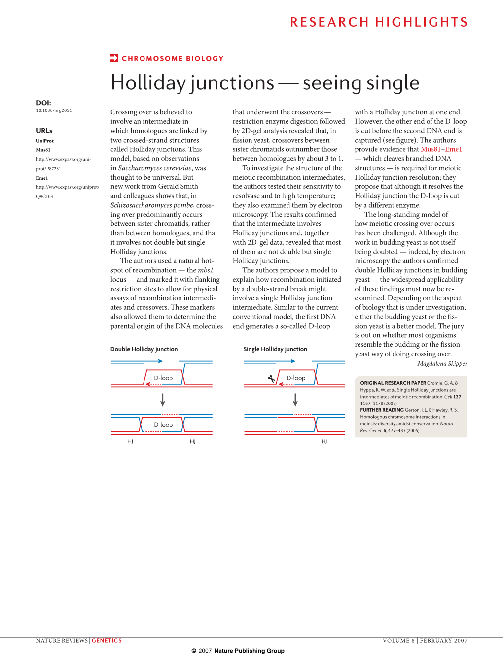 Holliday Junctions — Seeing Single DOI: 10.1038/Nrg2051 Crossing Over Is Believed to That Underwent the Crossovers — with a Holliday Junction at One End