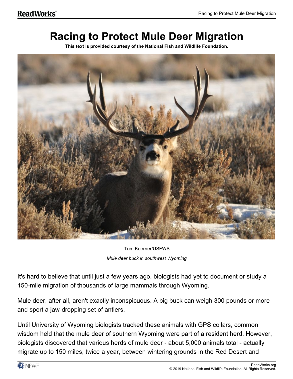 Racing to Protect Mule Deer Migration