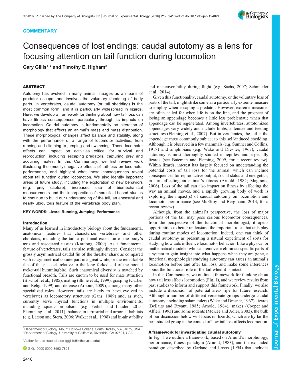 Consequences of Lost Endings: Caudal Autotomy As a Lens for Focusing Attention on Tail Function During Locomotion Gary Gillis1,* and Timothy E