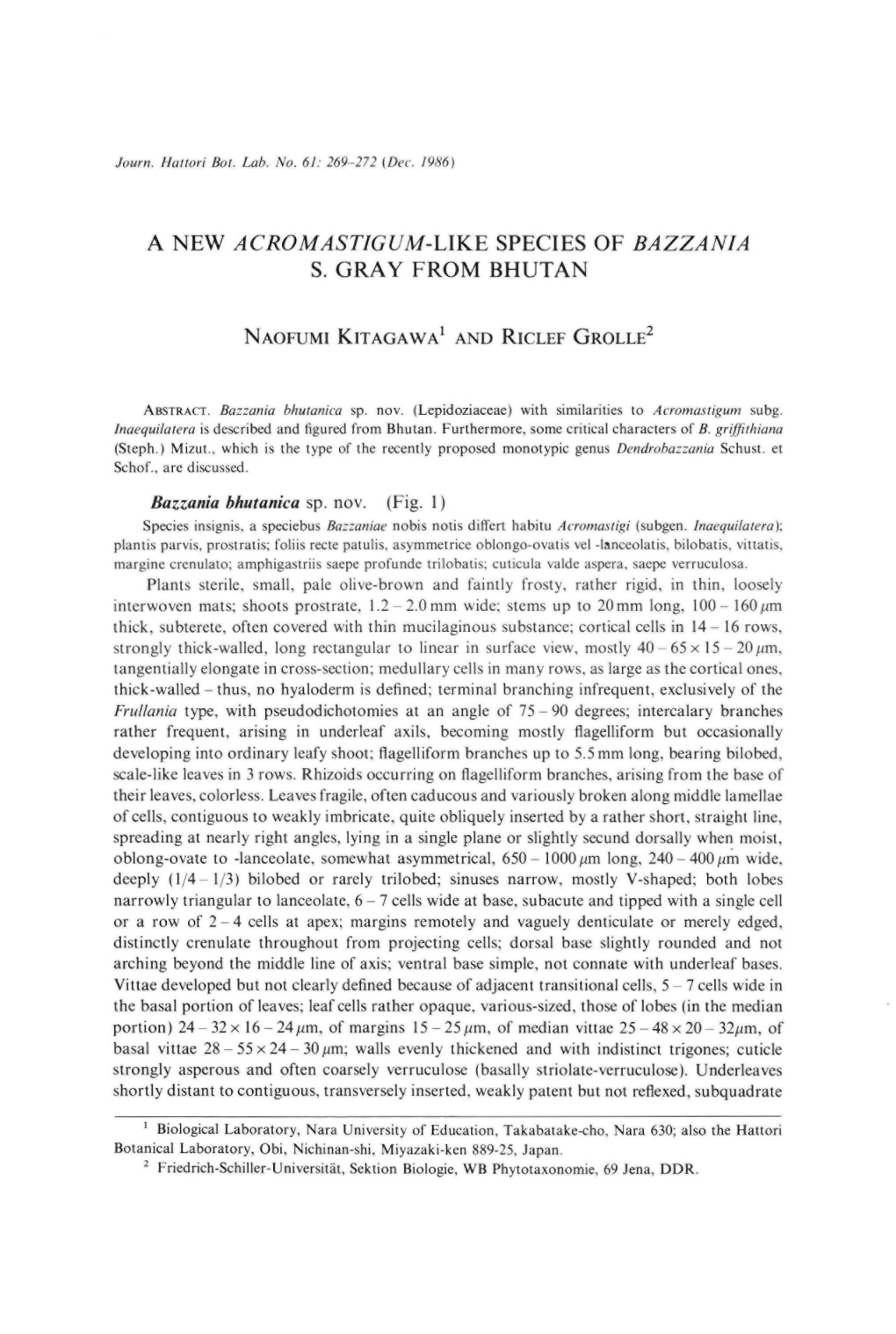 A New Acromastigum-Like Species of Bazzania S