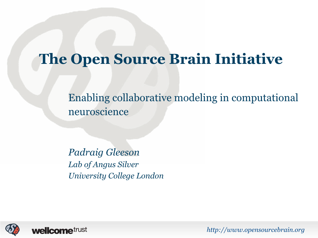 Open Source Brain Initiative