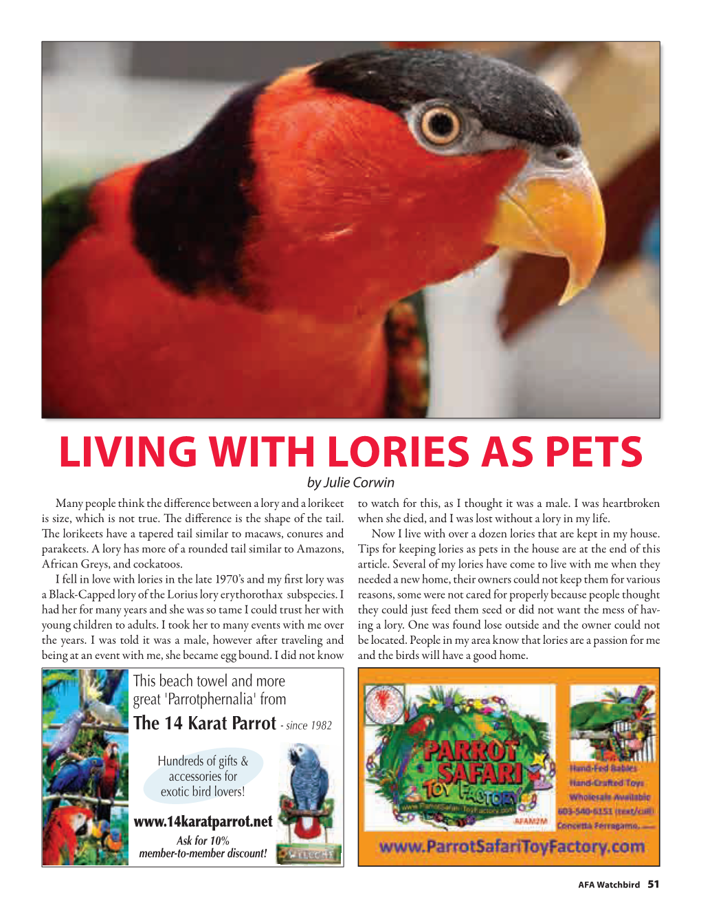 Living with Lories As Pets by Julie Corwin Many People Think the Difference Between a Lory and a Lorikeet to Watch for This, As I Thought It Was a Male