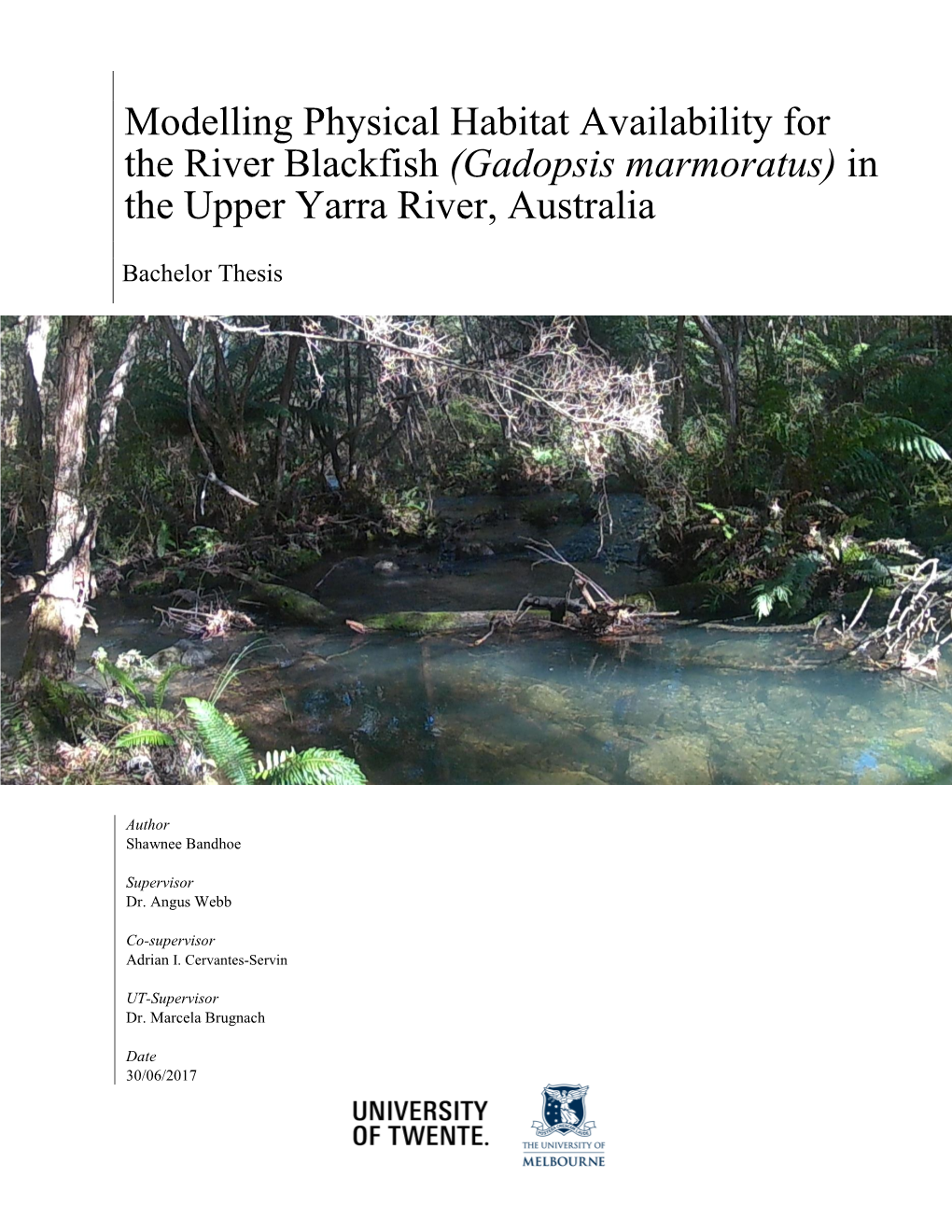 Physical Habitat Simulation of the River Blackfish (Gadopsis