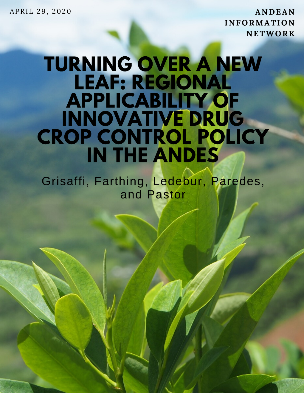 TURNING OVER a NEW LEAF: REGIONAL APPLICABILITY of INNOVATIVE DRUG CROP CONTROL POLICY in the ANDES Grisaffi, Farthing, Ledebur, Paredes, and Pastor INTRODUCTION