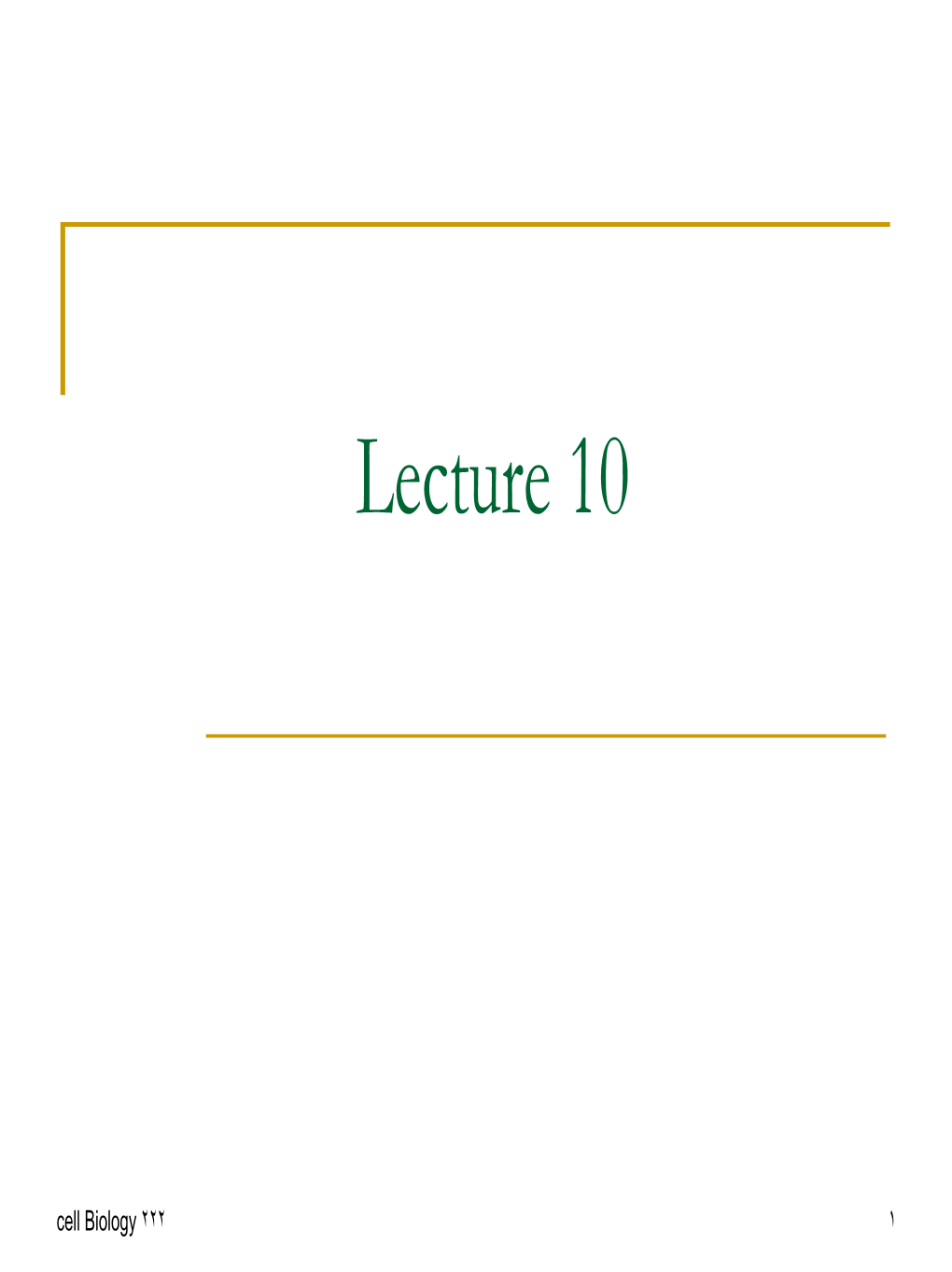 Lecture 10.Pdf