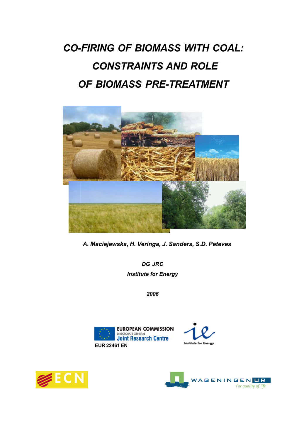 Co-Firing of Biomass with Coal: Constraints and Role of Biomass Pre-Treatment