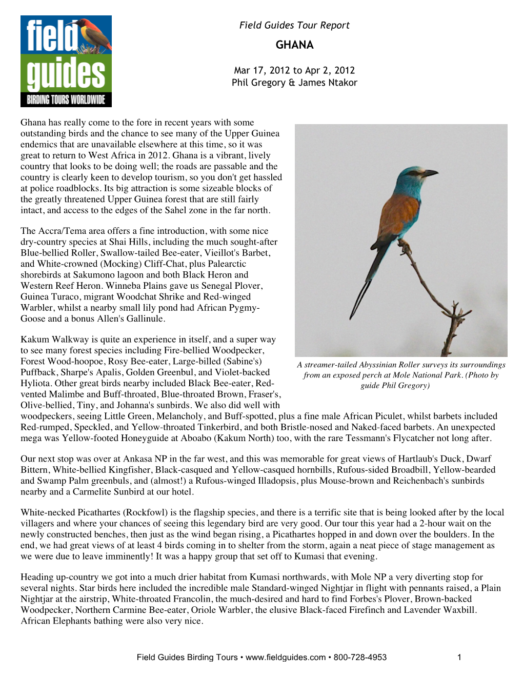 Field Guides Birding Tours Ghana