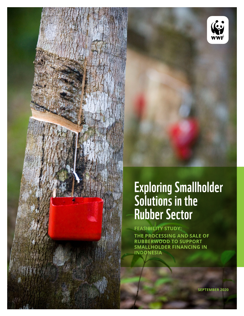 Exploring Smallholder Solutions in the Rubber Sector WWF, Heveaconnect
