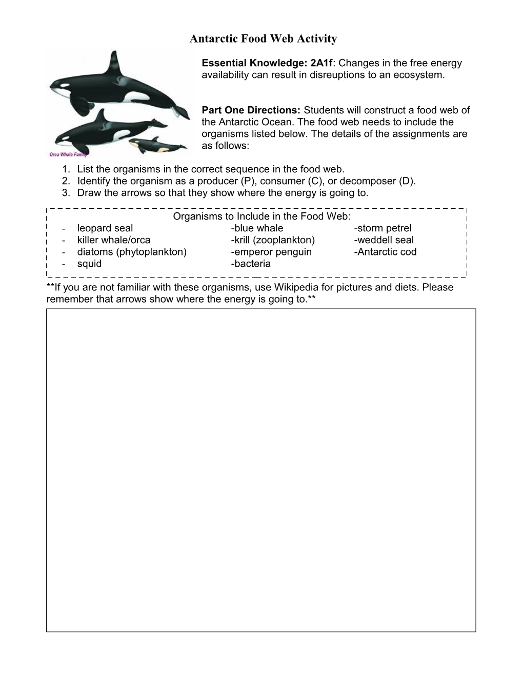 Antartic Food Chain