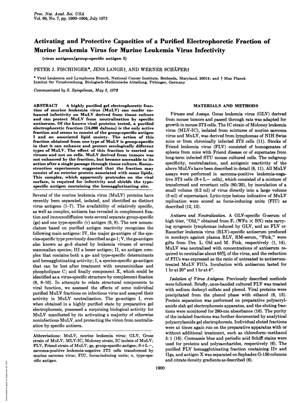 Murine Leukemia Virus for Marine Leukemia Virus Infectivity (Virus Antigens/Group-Specific Antigen I) PETER J