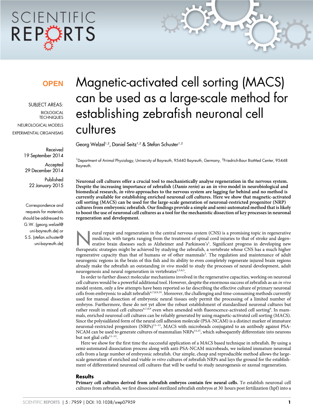 Can Be Used As a Large-Scale Method for Establishing Zebrafish Neuronal Cell Restricted Progenitor Cells After Heterotopic Transplantation