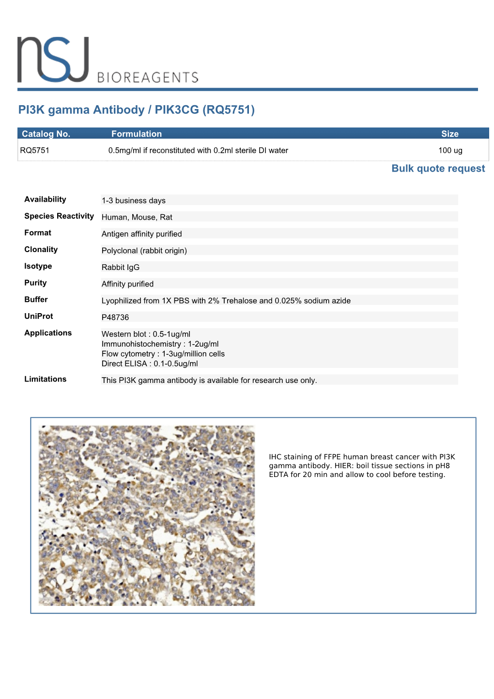 PI3K Gamma Antibody / PIK3CG (RQ5751)