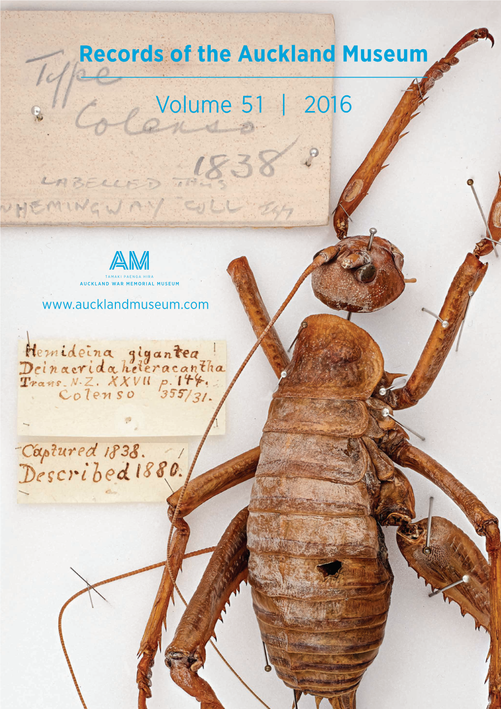 "Provenance of the Type Specimen of William Colenso's Giant Weta