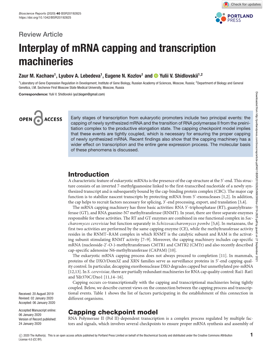 Interplay of Mrna Capping and Transcription Machineries