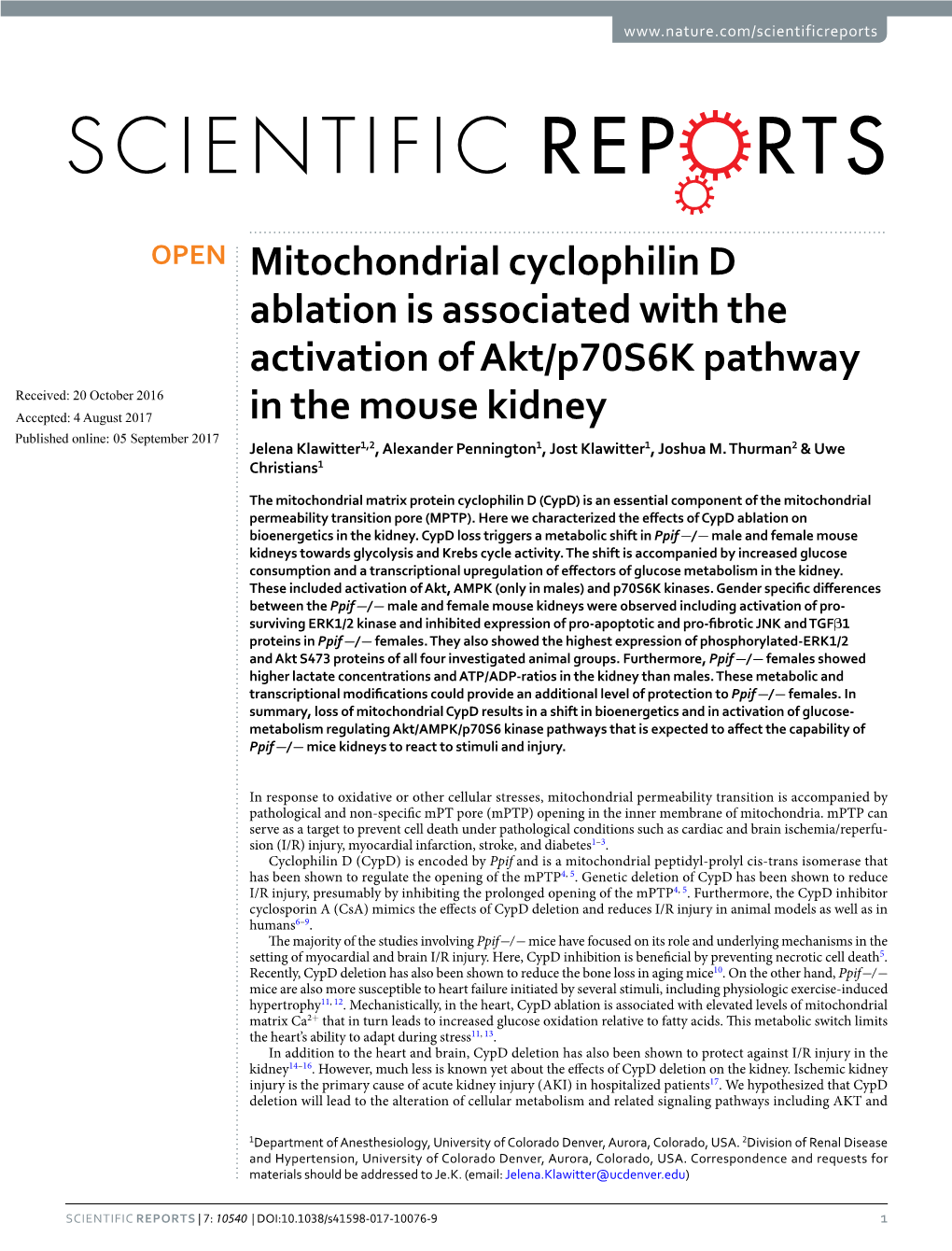 Mitochondrial Cyclophilin D Ablation Is Associated with the Activation of Akt