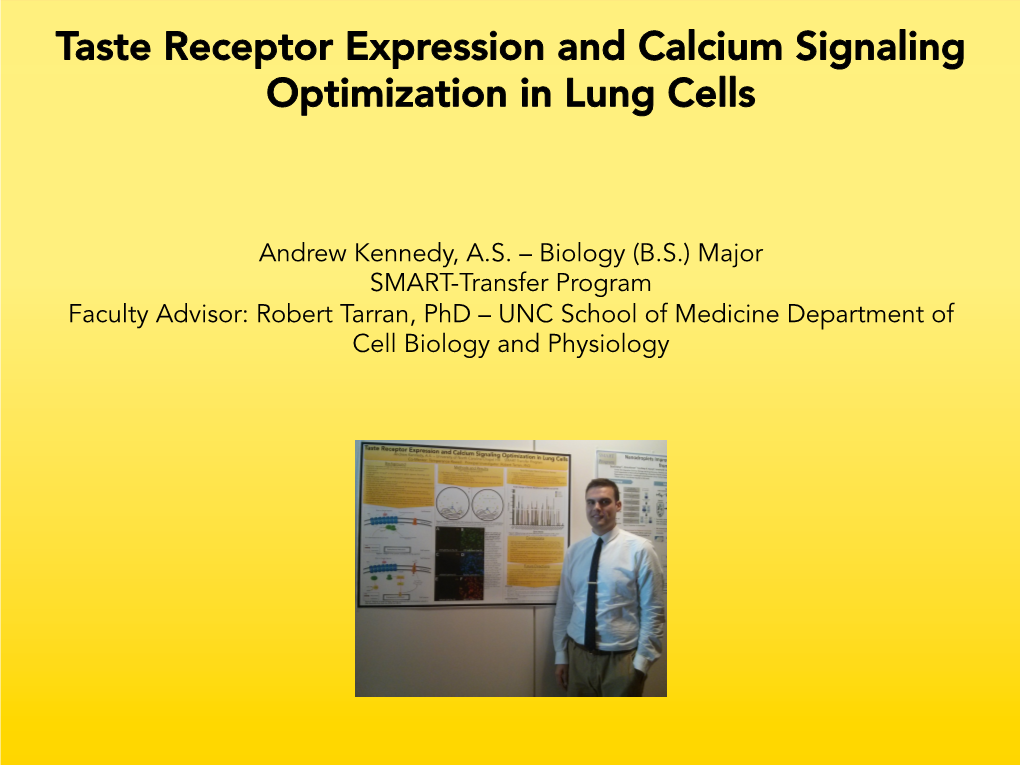 Taste Receptor Expression and Calcium Signaling Optimization in Lung Cells