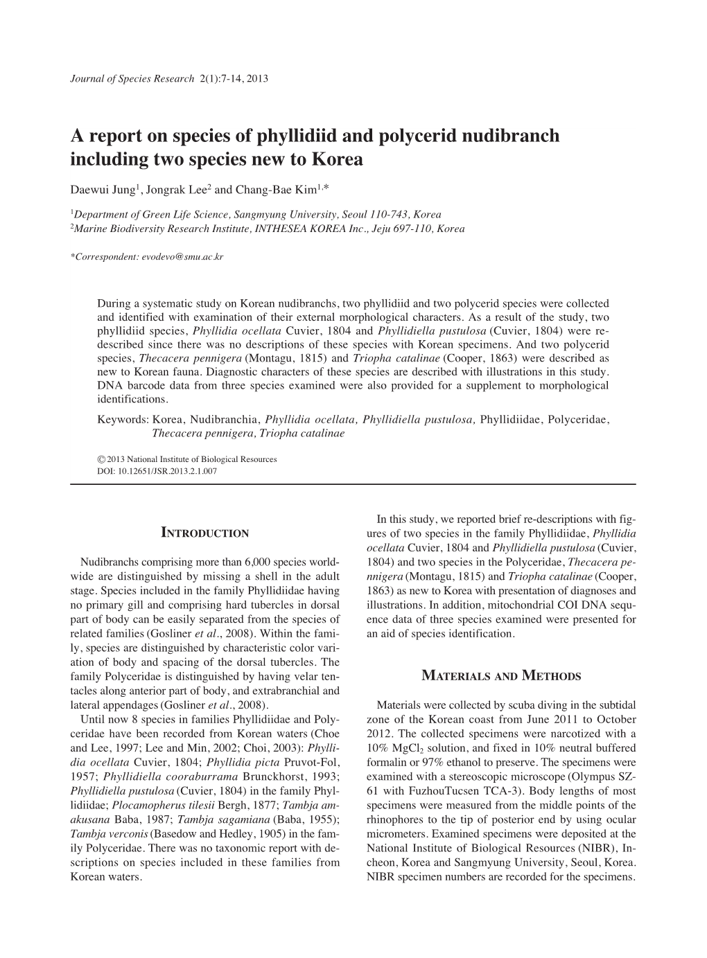 A Report on Species of Phyllidiid and Polycerid Nudibranch Including Two Species New to Korea