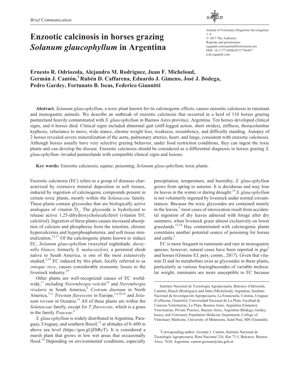 Enzootic Calcinosis in Horses Grazing Solanum Glaucophyllum in Argentina
