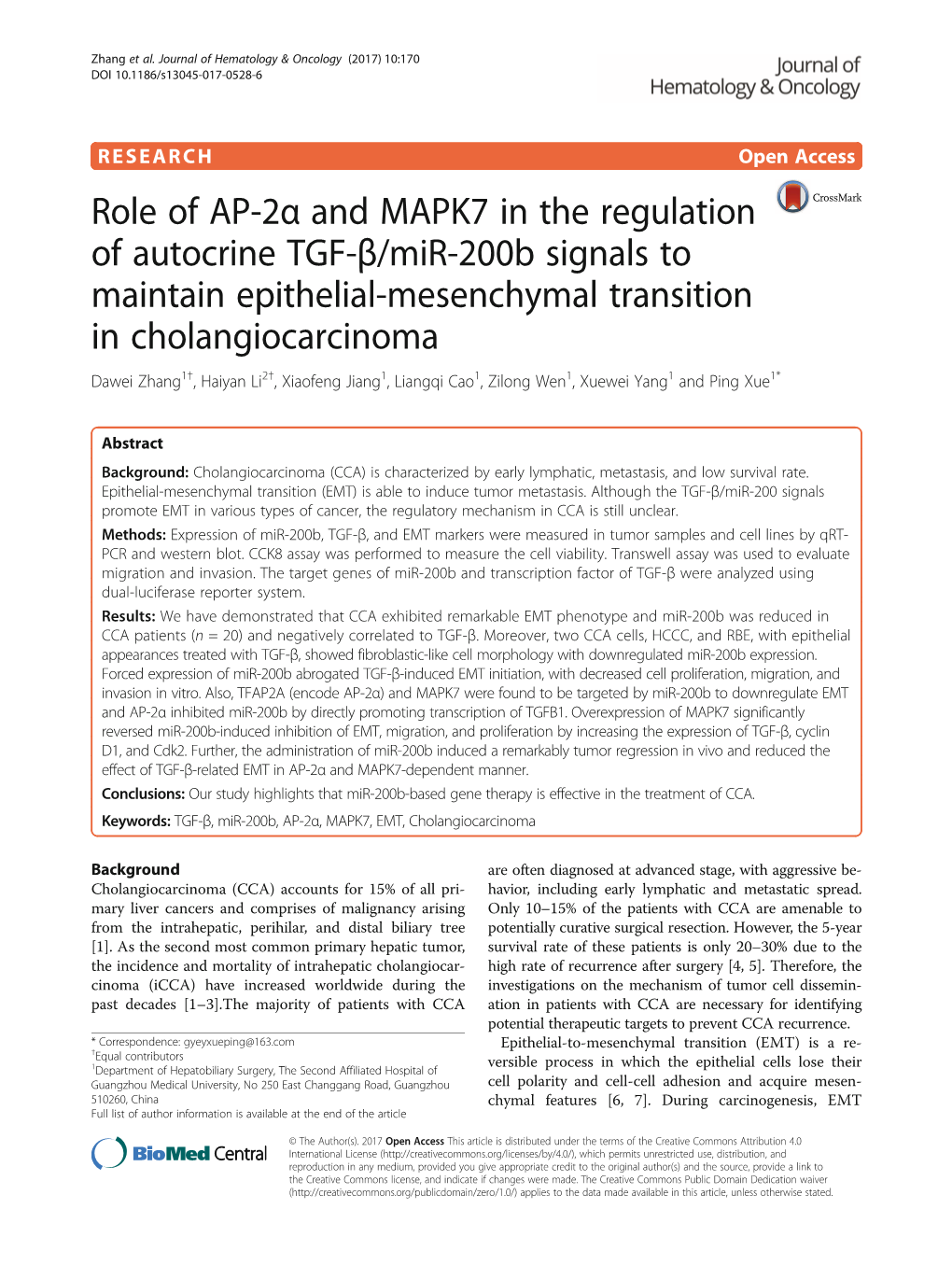 Role of AP-2Α and MAPK7 in the Regulation of Autocrine TGF-Β/Mir