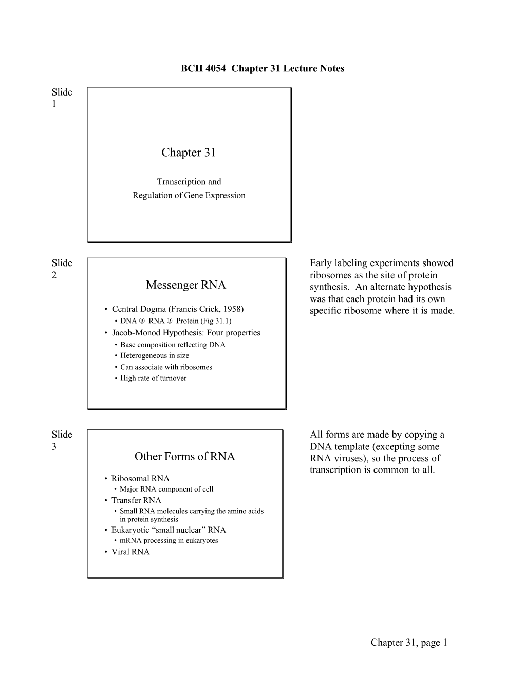 Chapter 31 Lecture Notes