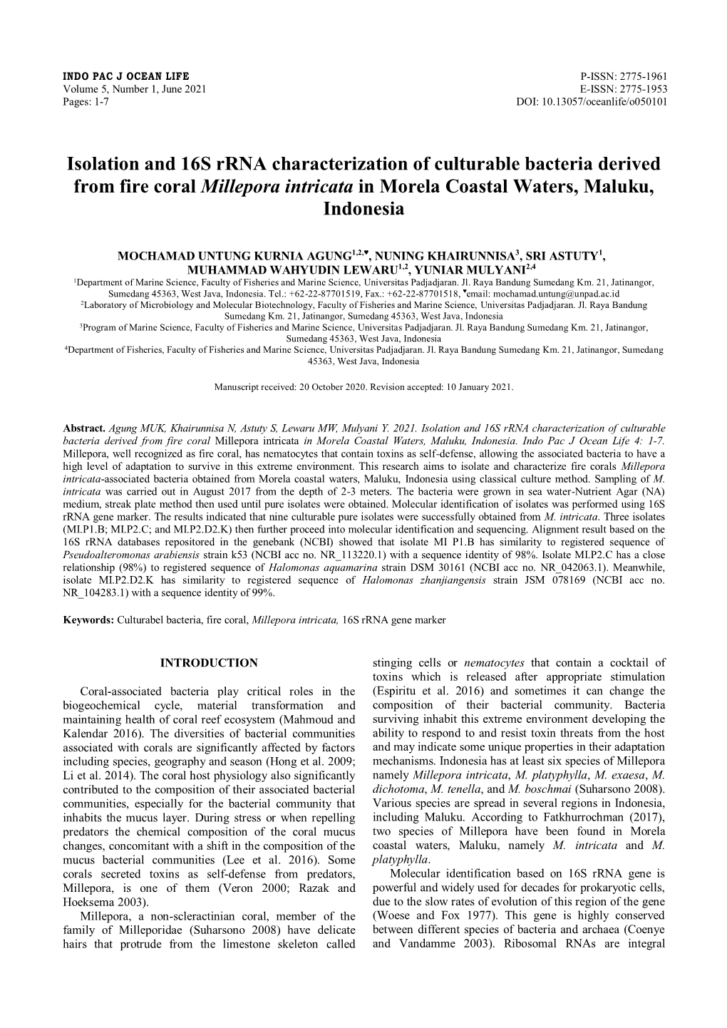 Isolation and 16S Rrna Characterization of Culturable Bacteria Derived from Fire Coral Millepora Intricata in Morela Coastal Waters, Maluku, Indonesia