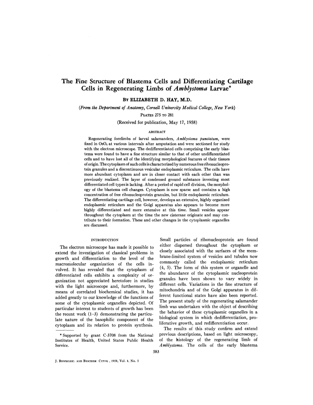 The Fine Structure of Blastema Cells and Differentiating Cartilage Cells in Regenerating Limbs of Amblysto~A Larvae*