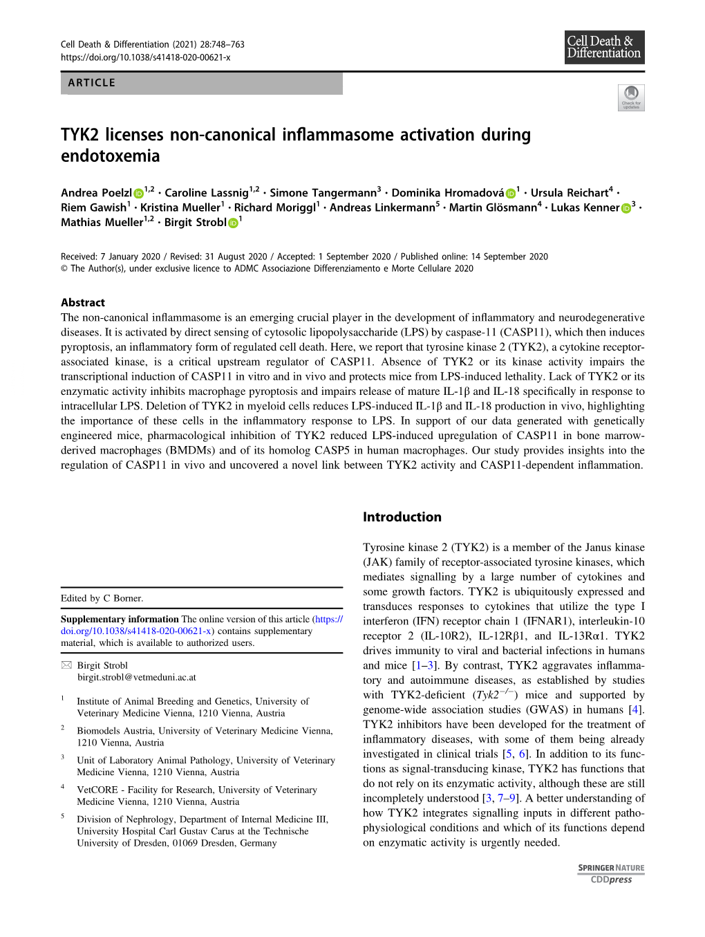 TYK2 Licenses Non-Canonical Inflammasome Activation During