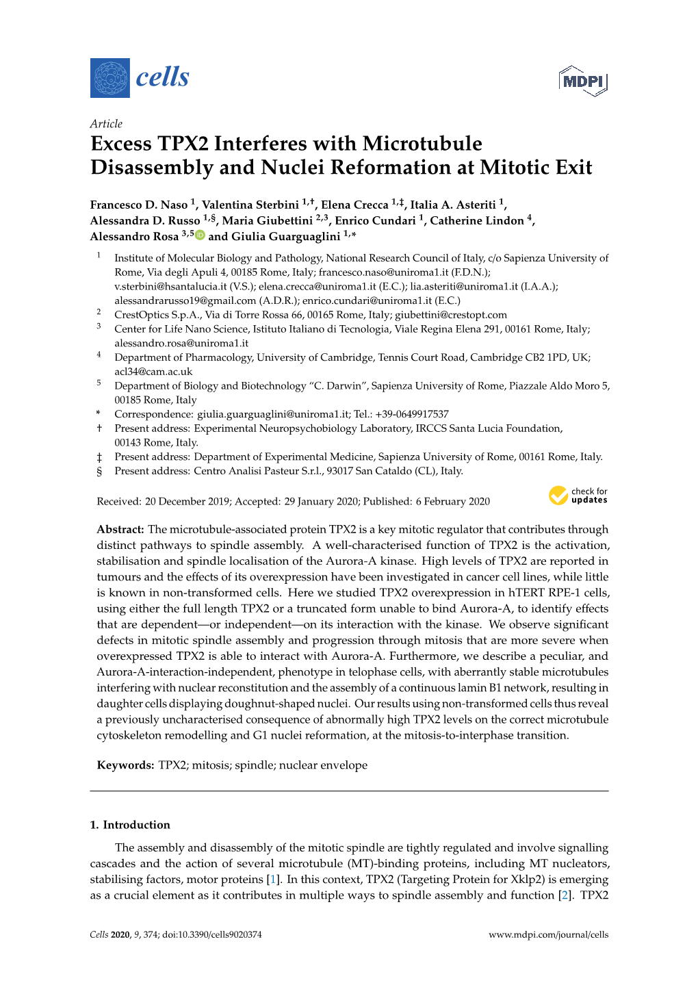 Excess TPX2 Interferes with Microtubule Disassembly and Nuclei Reformation at Mitotic Exit