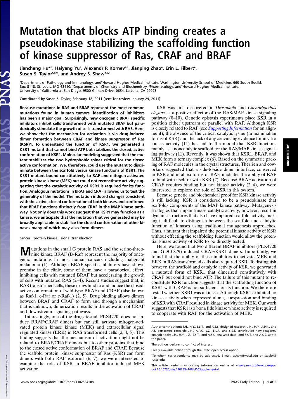 Mutation That Blocks ATP Binding Creates a Pseudokinase Stabilizing the Scaffolding Function of Kinase Suppressor of Ras, CRAF and BRAF