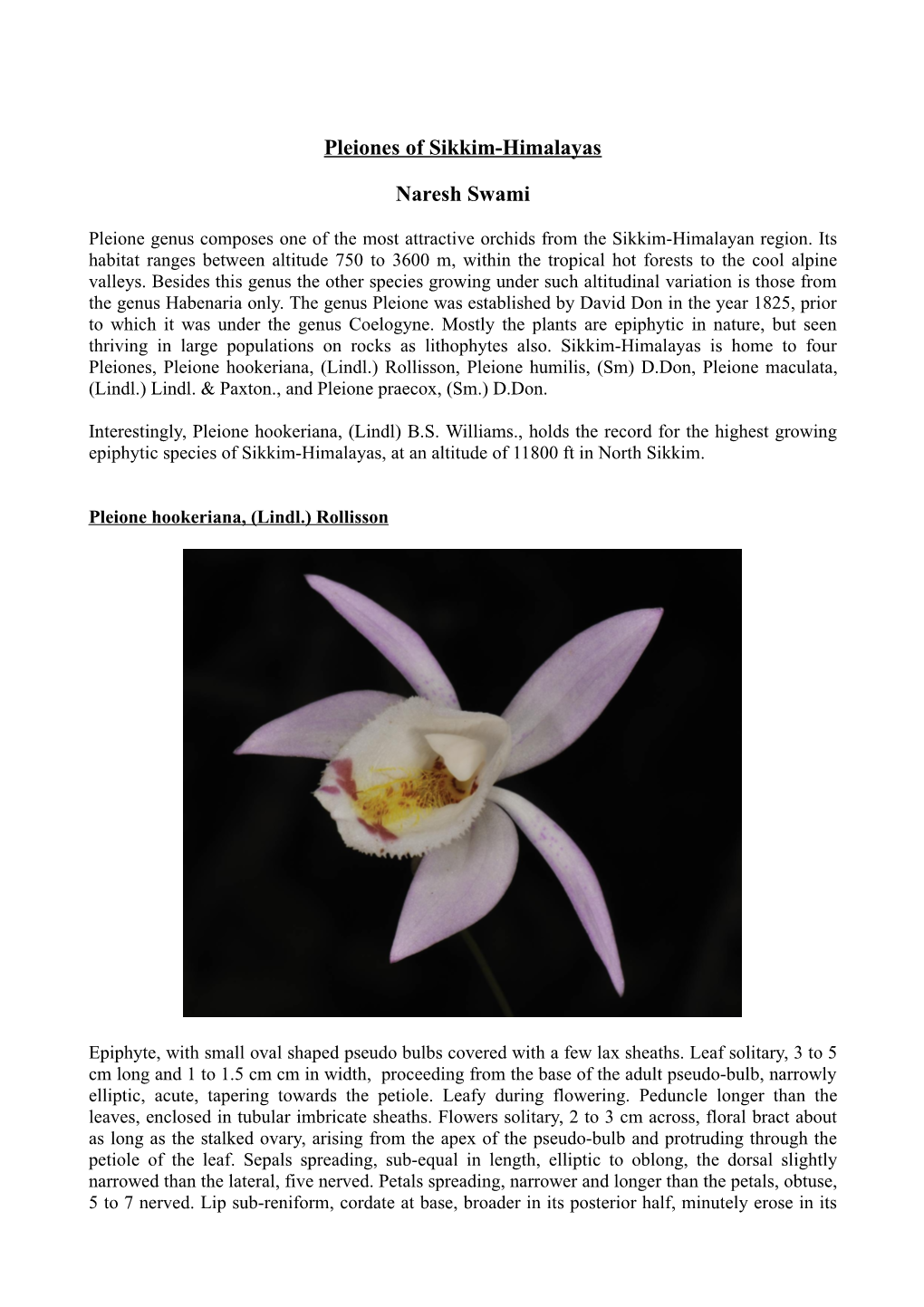 Pleiones of Sikkim-Himalayas Naresh Swami