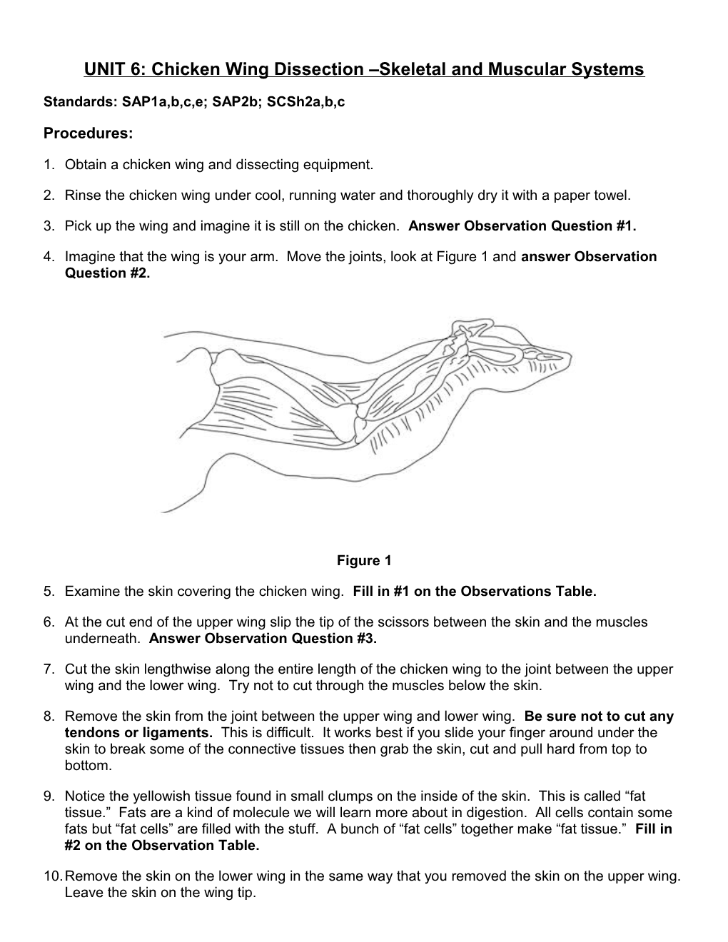 UNIT 6: Chicken Wing Dissection Skeletal and Muscular Systems