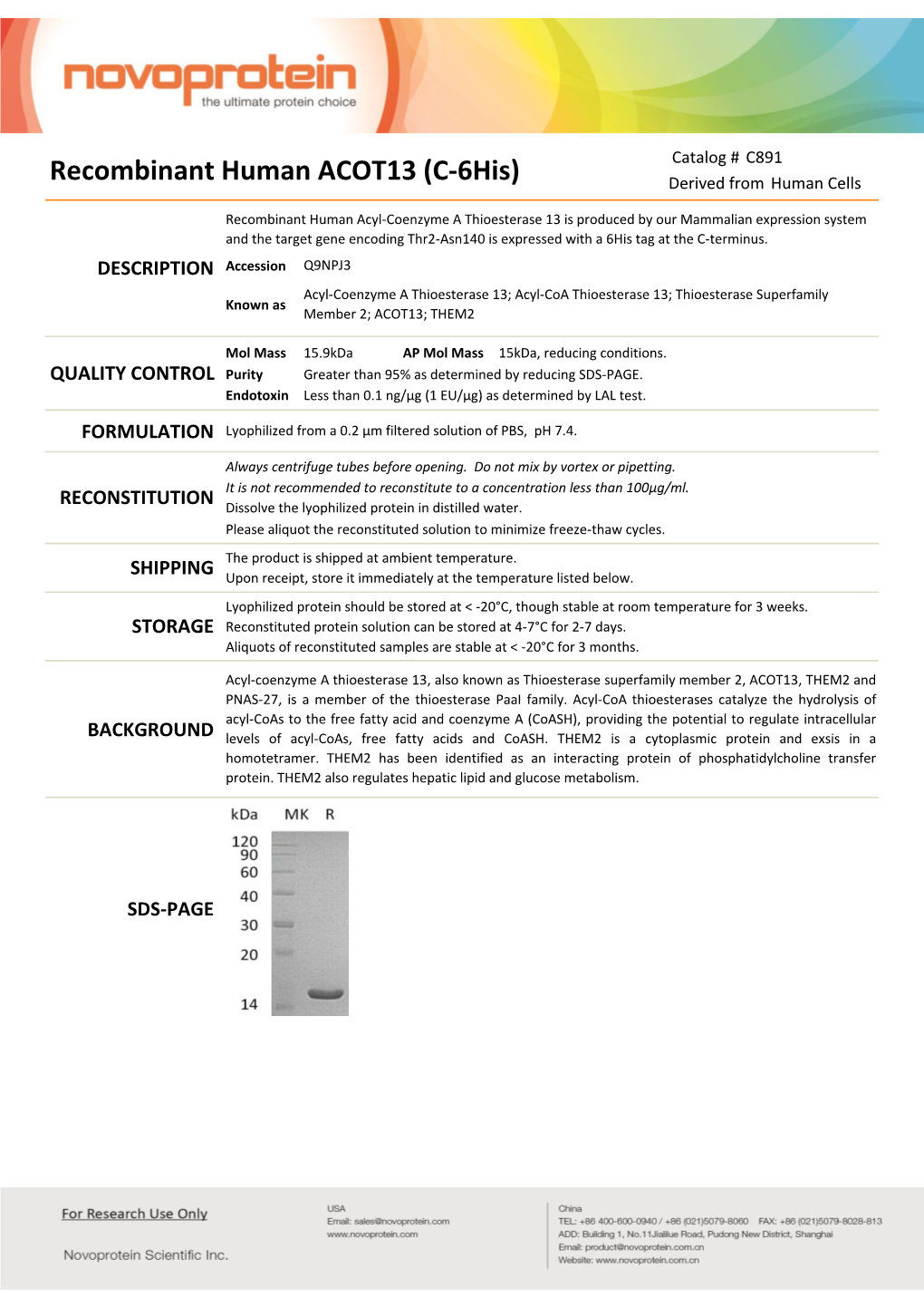 Recombinant Human ACOT13 (C-6His) Derived from Human Cells