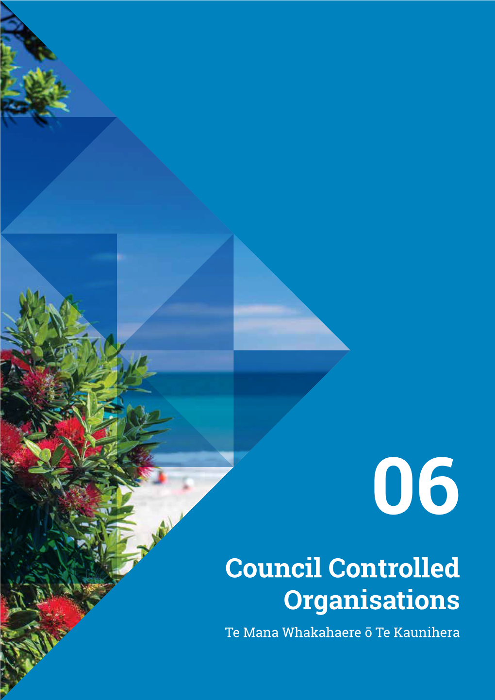 Council Controlled Organisations Te Mana Whakahaere Ō Te Kaunihera