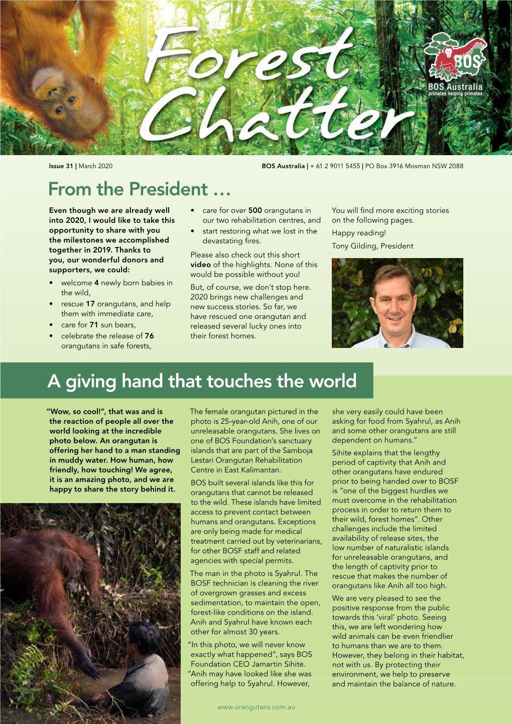 Forest Chatter March 2020