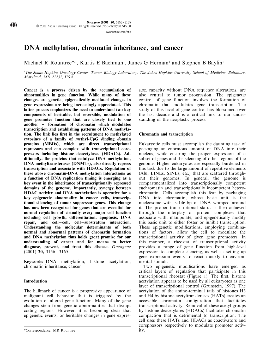 DNA Methylation, Chromatin Inheritance, and Cancer