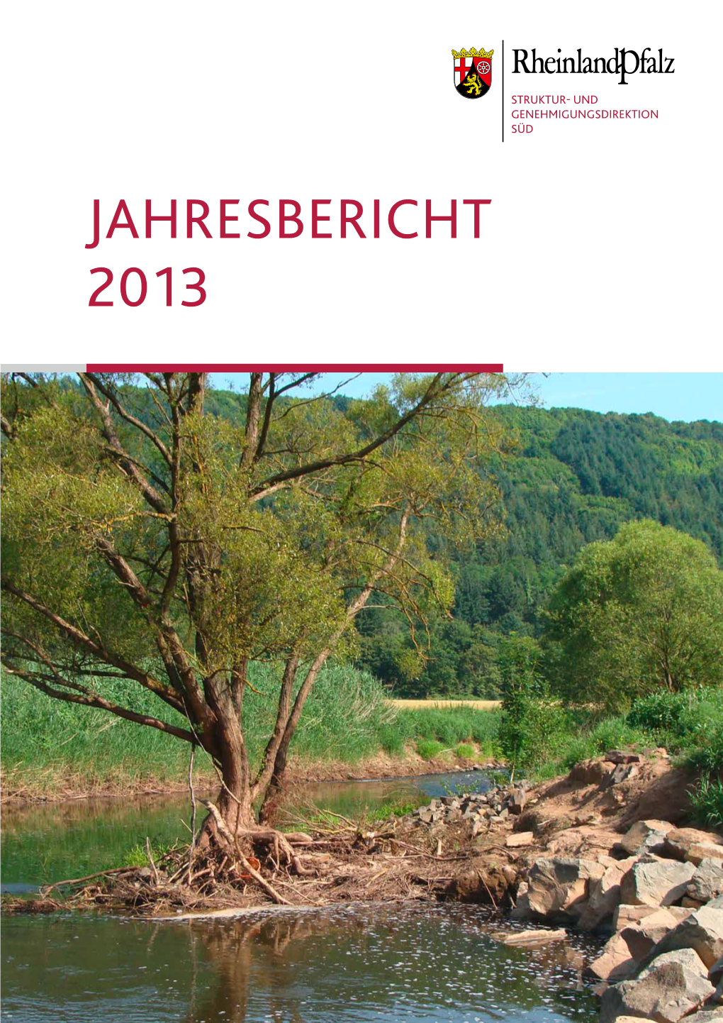 Jahresbericht 2013 Zu Diesem Jahresbericht