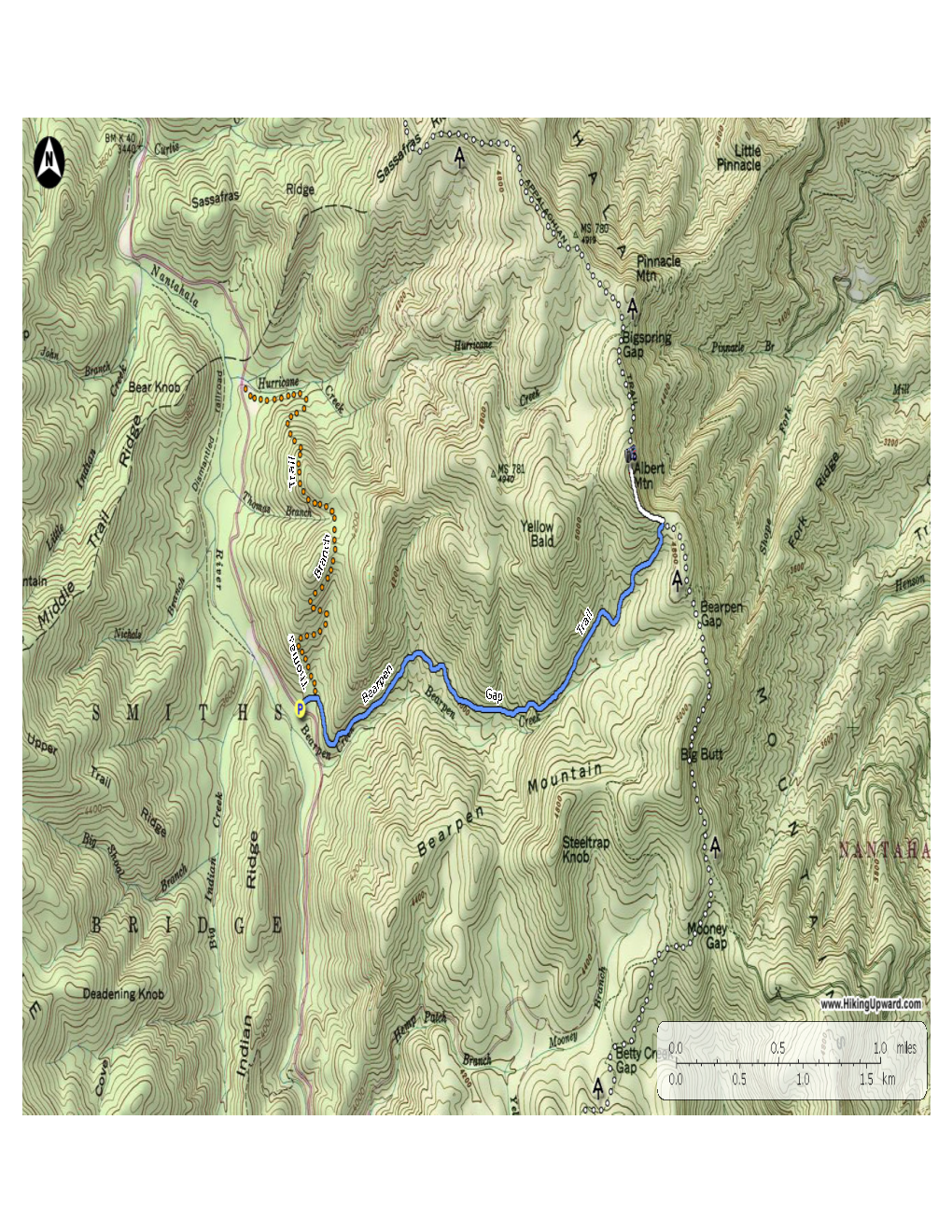 Albert Mountain Lookout Tower Hike