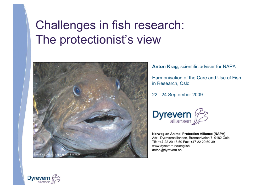 Challenges in Fish Research: the Protectionist’S View
