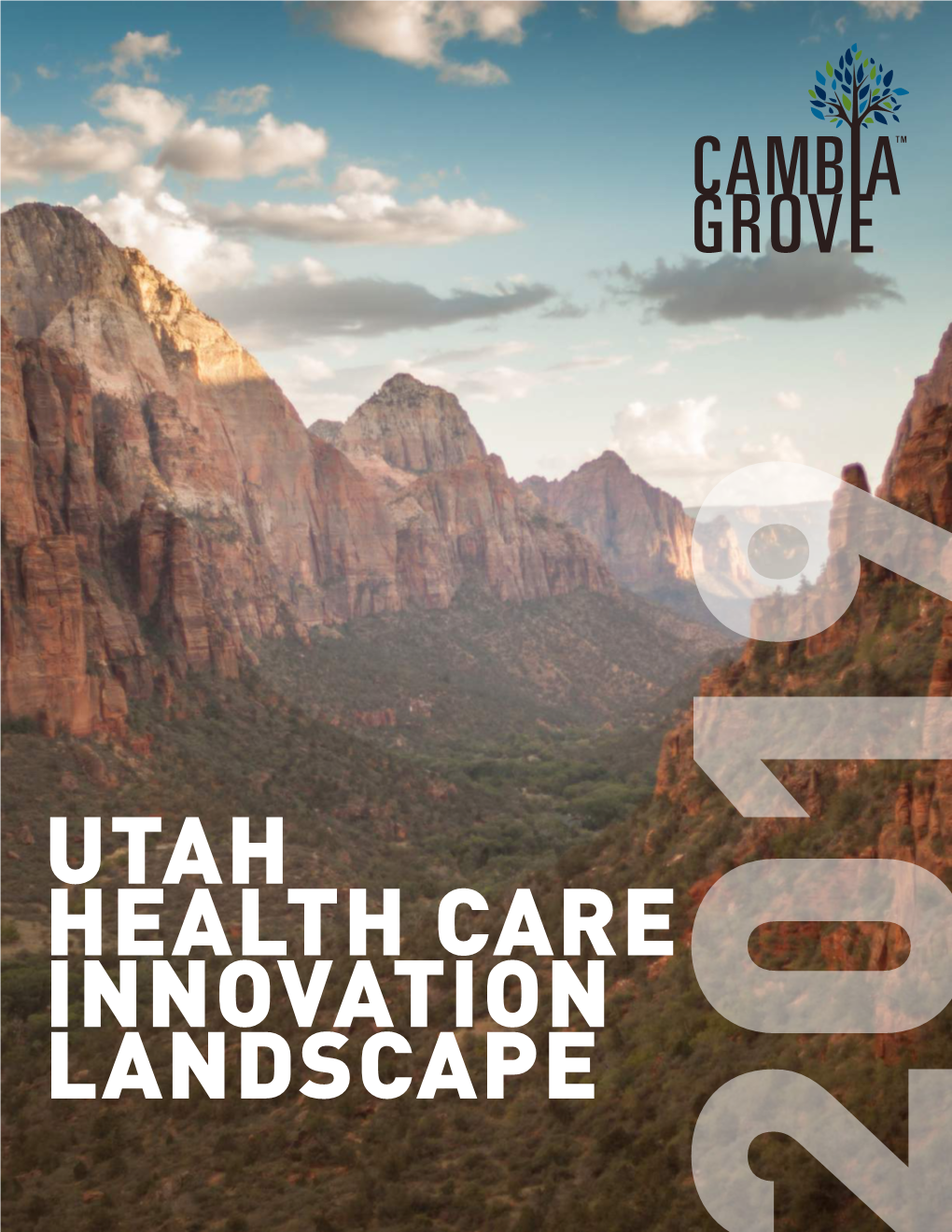 Utah Health Care Innovation Landscape Report