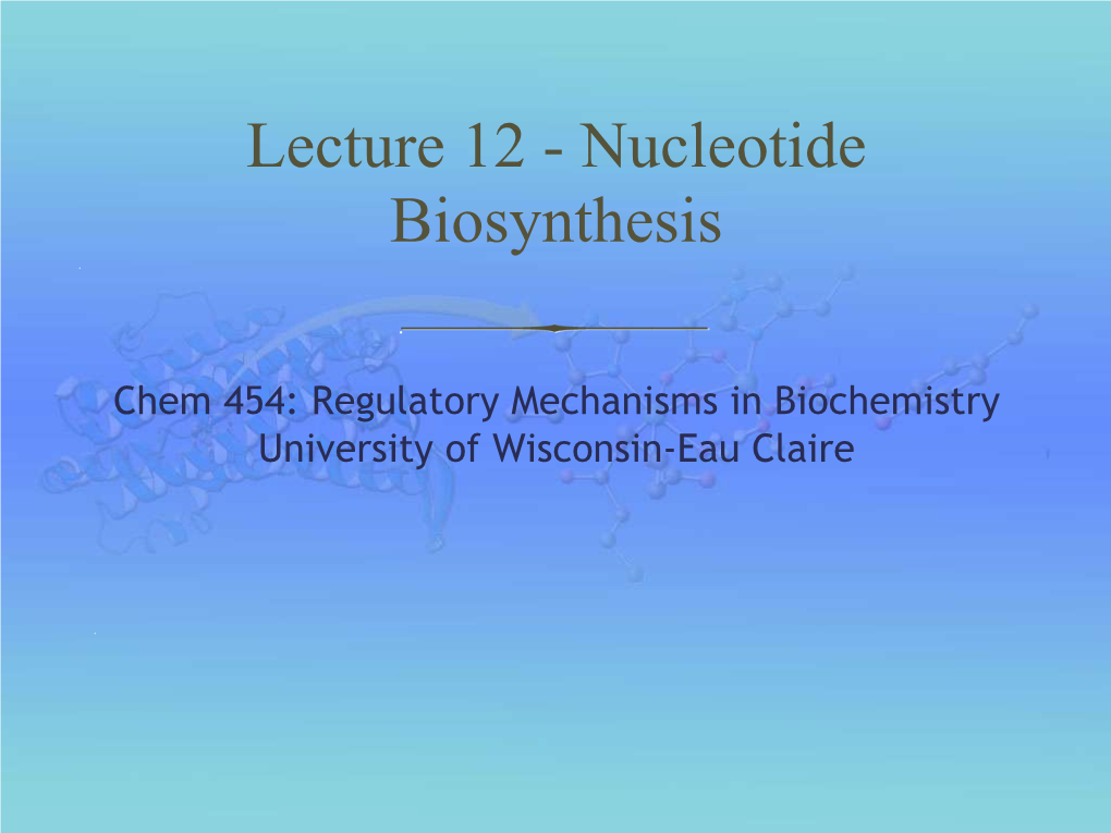 Lecture 12 - Nucleotide Biosynthesis