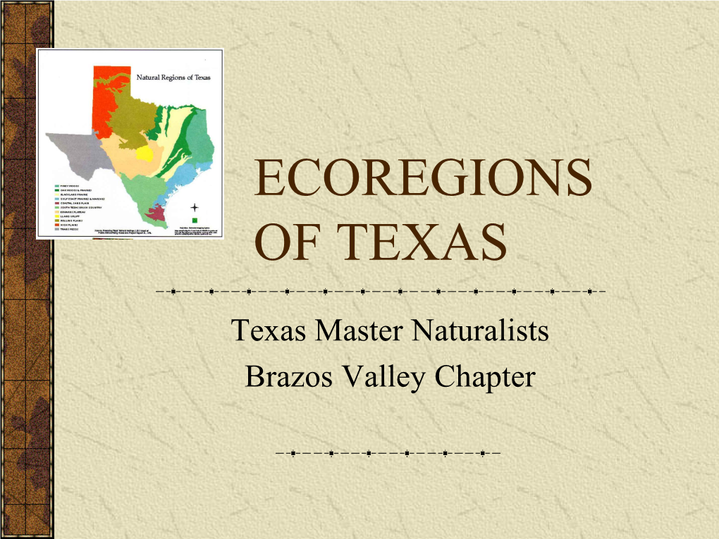 Ecoregions of Texas