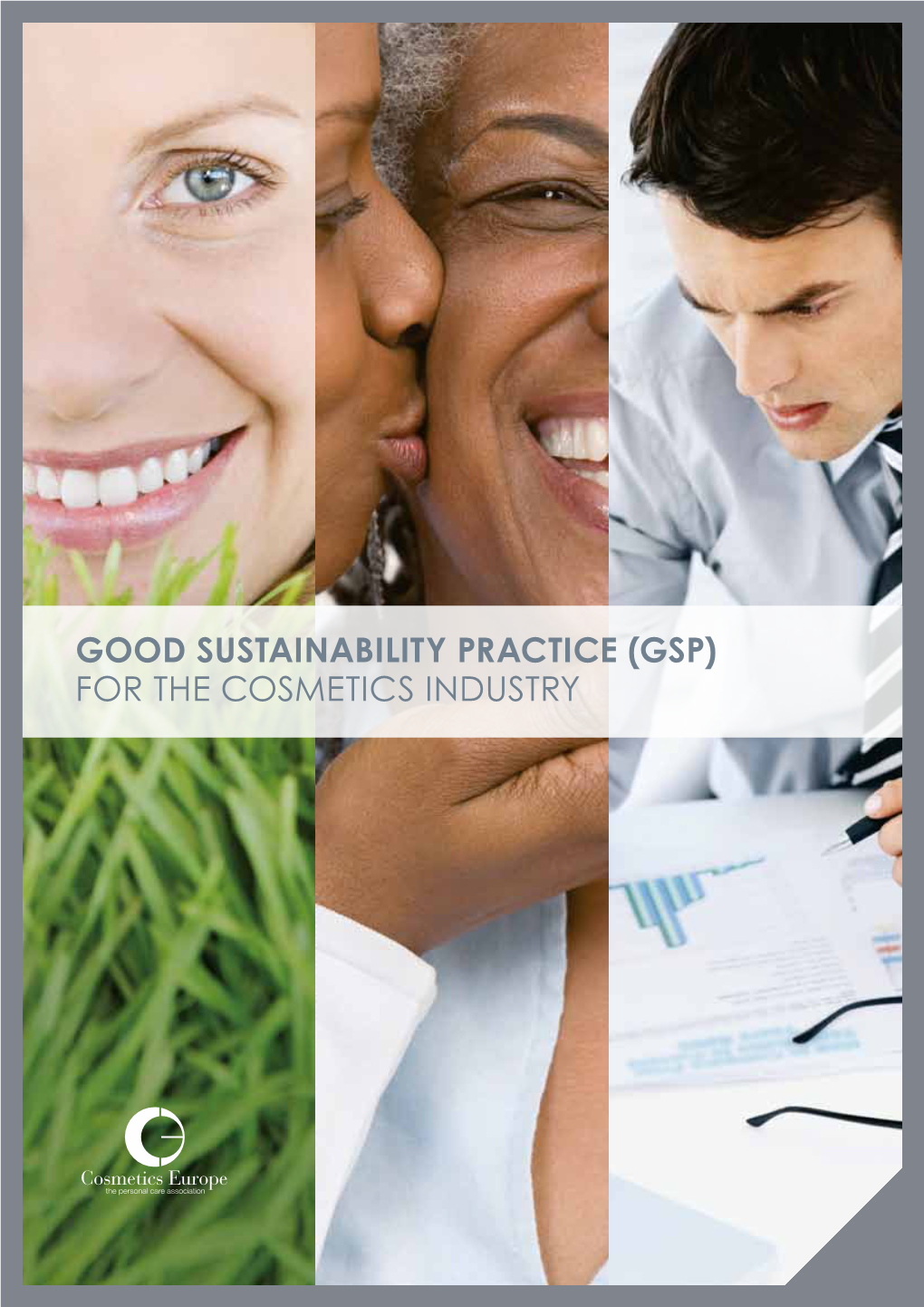 Good Sustainability Practice (GSP) for the Cosmetics Industry Summary