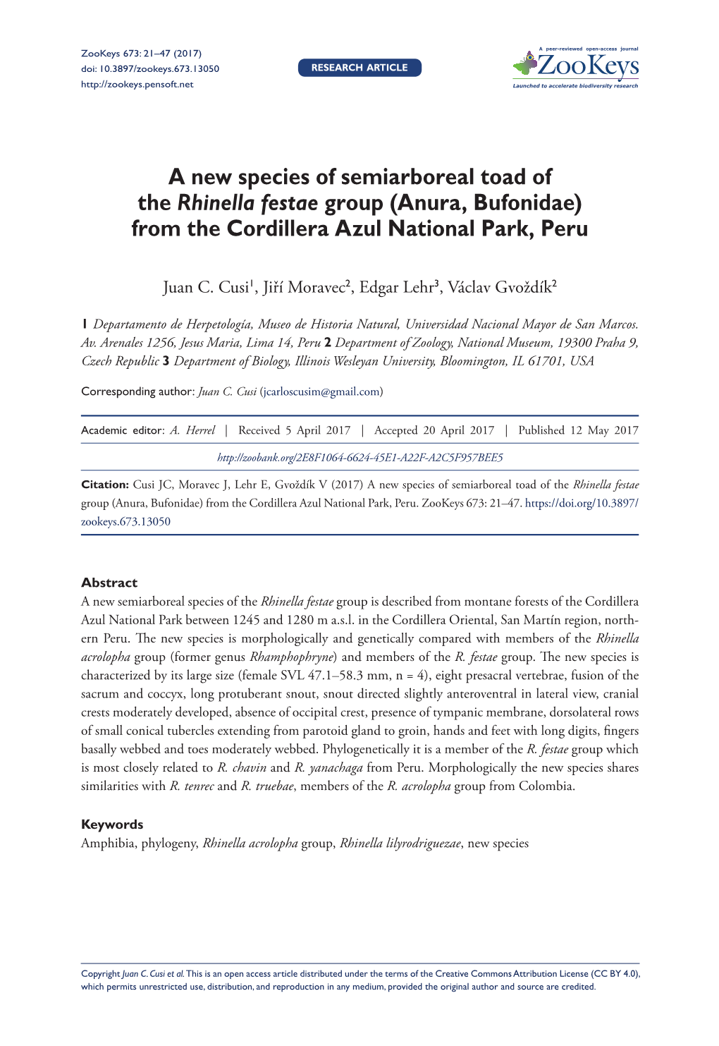 A New Species of Semiarboreal Toad of the Rhinella Festae Group