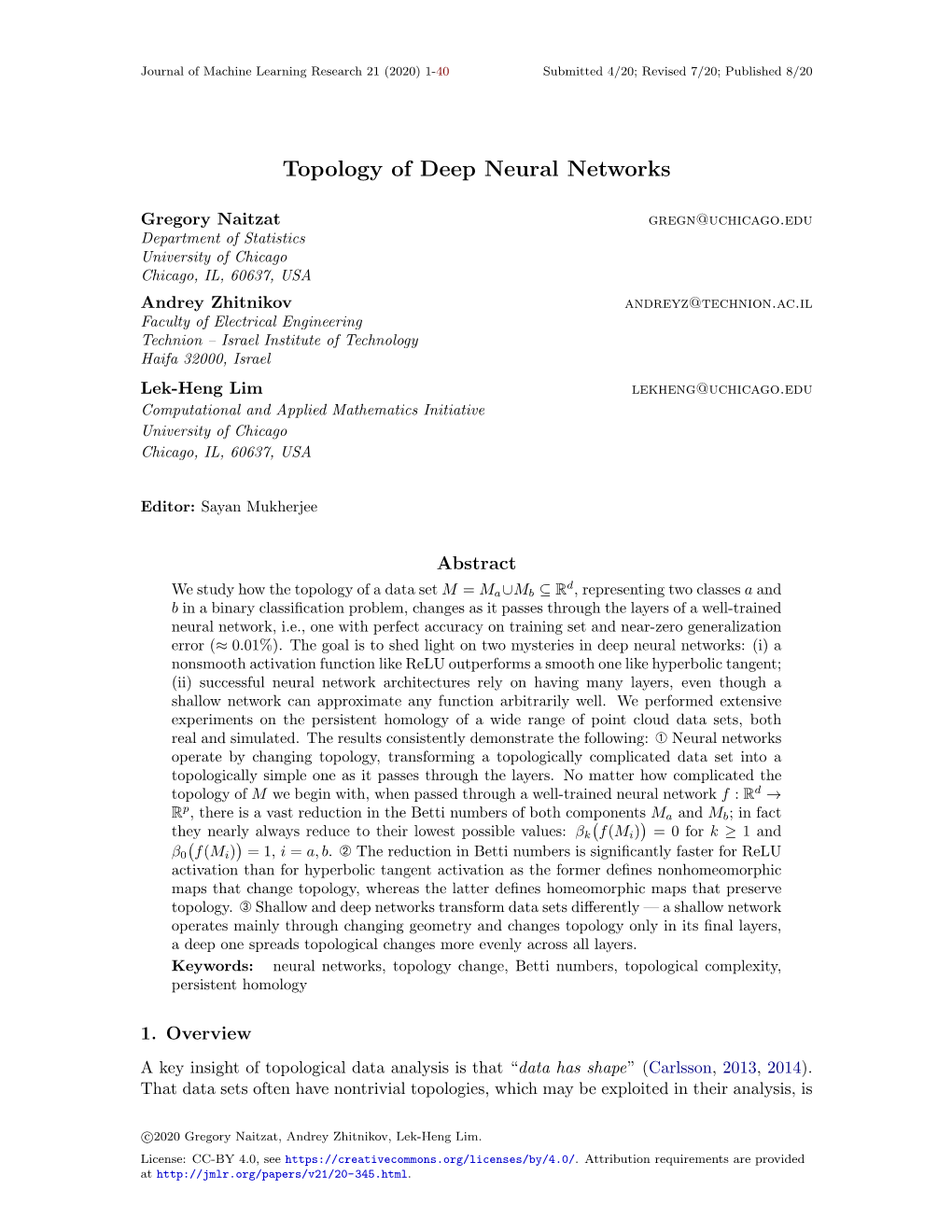 Topology of Deep Neural Networks