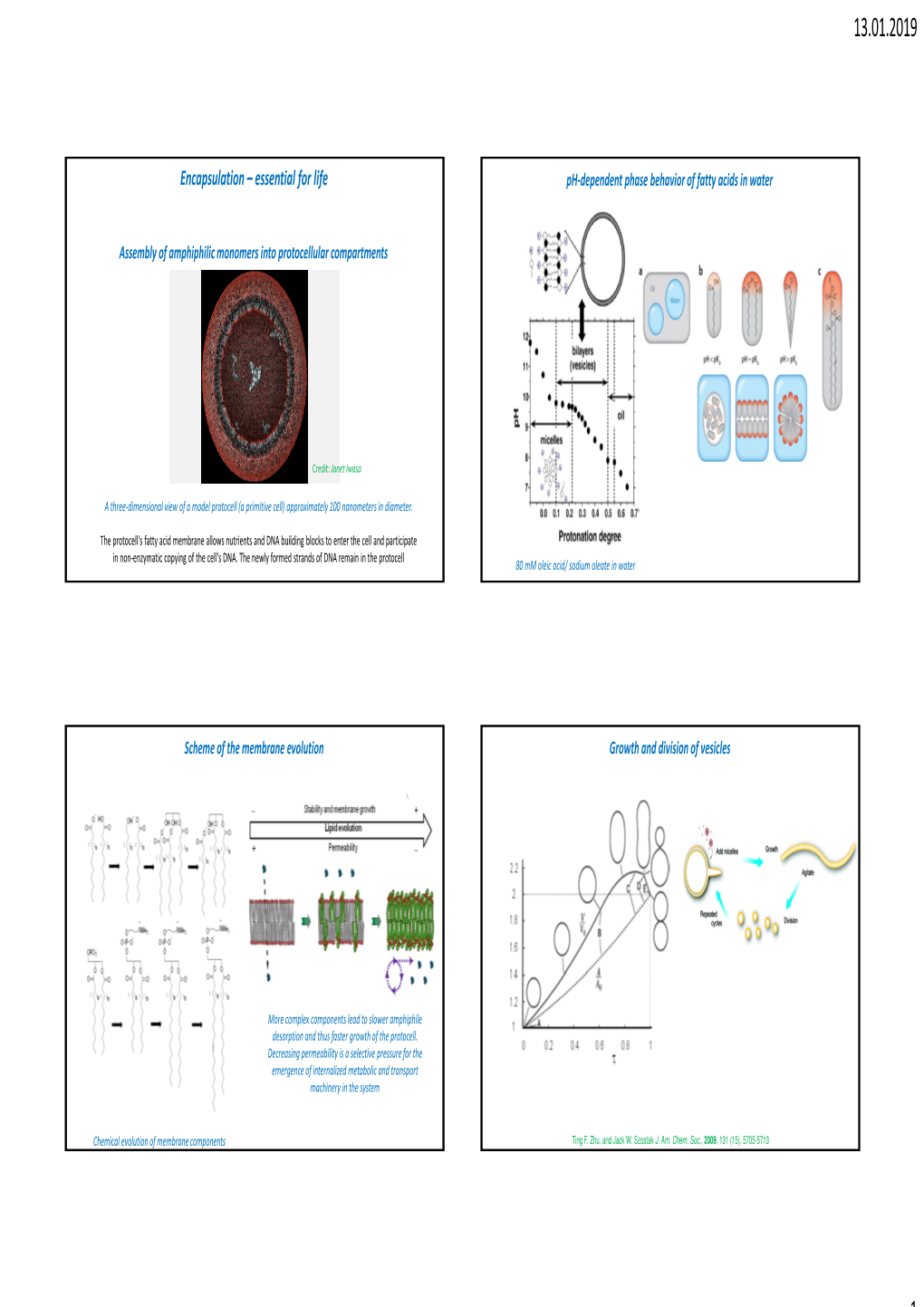 Encapsulation – Essential for Life Ph-Dependent Phase Behavior of Fatty Acids in Water